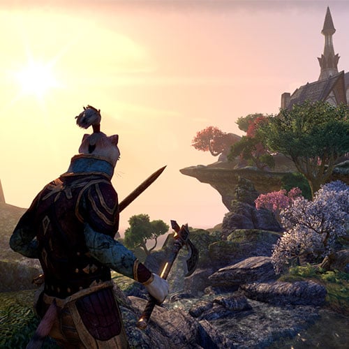 The Elder Scrolls Online 60-Days Pre-Paid Cd Key